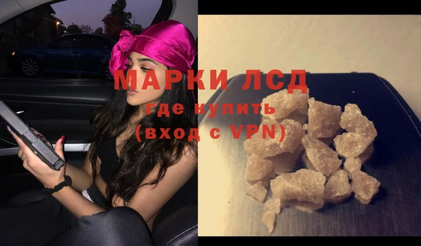 прущие грибы Иннополис