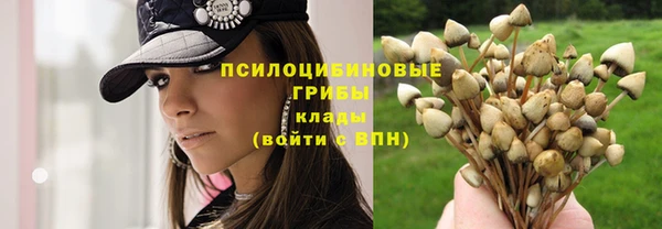спайс Инсар