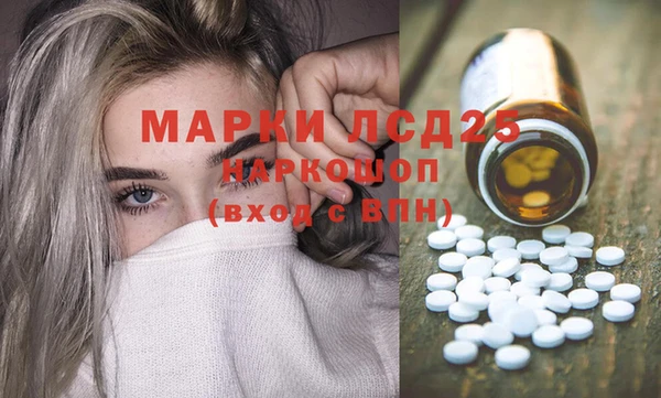 spice Каменка