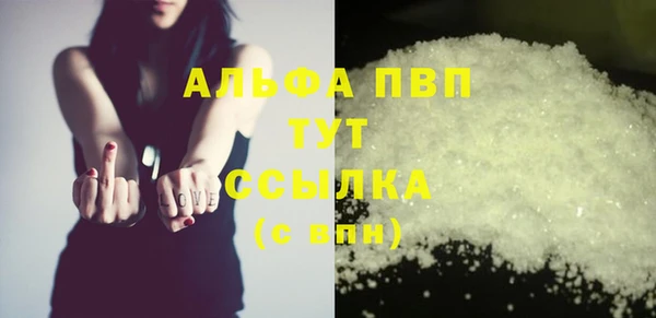 прущие грибы Иннополис