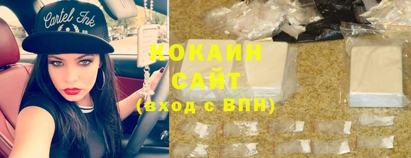 прущие грибы Иннополис