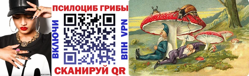 Галлюциногенные грибы Psilocybe  Красавино 