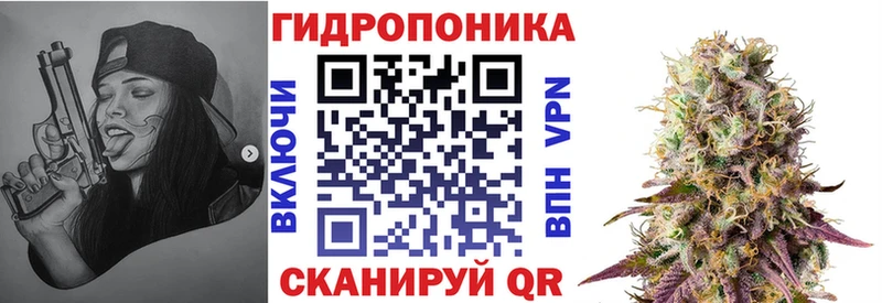 Конопля OG Kush Красавино